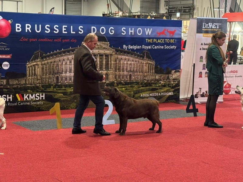 IDS de Bruxelles 2025